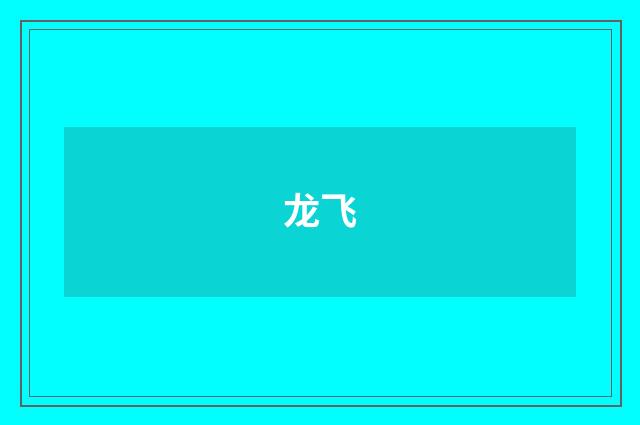 龙飞