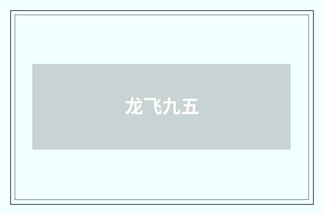 龙飞九五