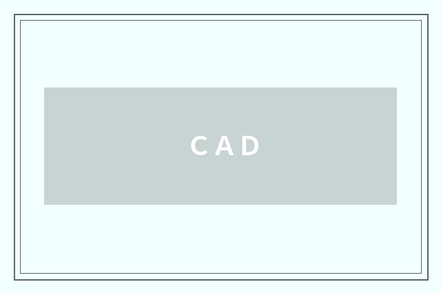 ＣＡＤ