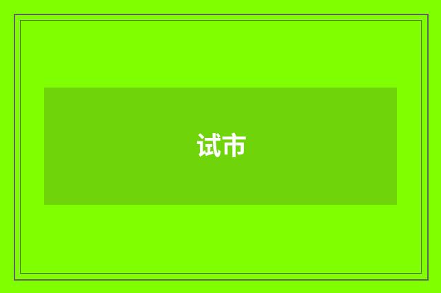 试市