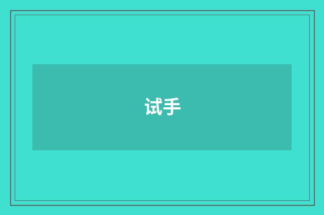 试手