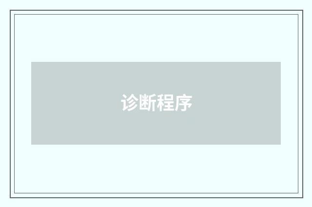 诊断程序