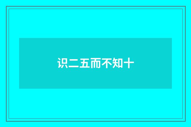 识二五而不知十