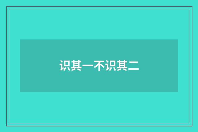 识其一不识其二