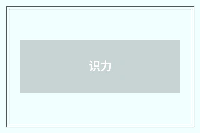 识力
