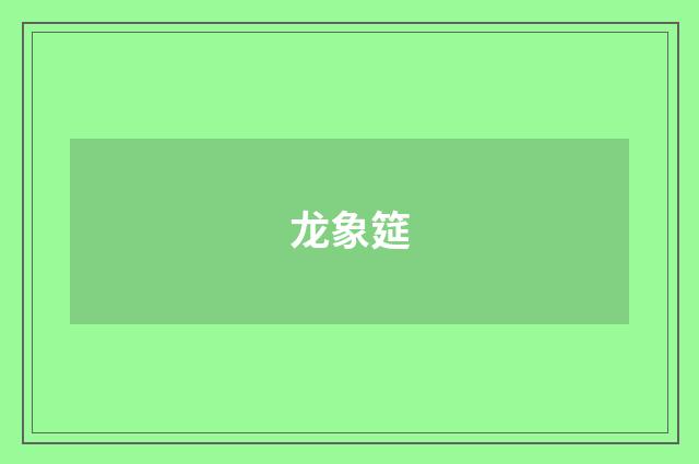 龙象筵