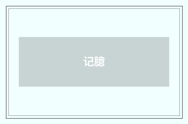 记臆