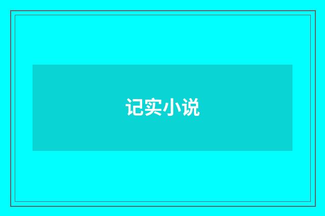 记实小说