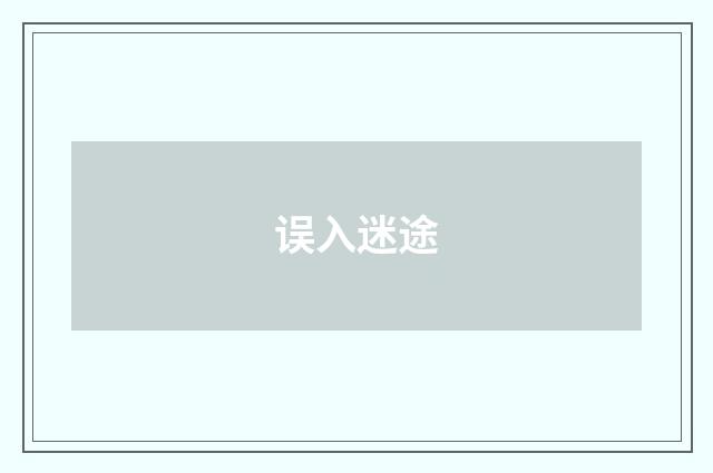 误入迷途