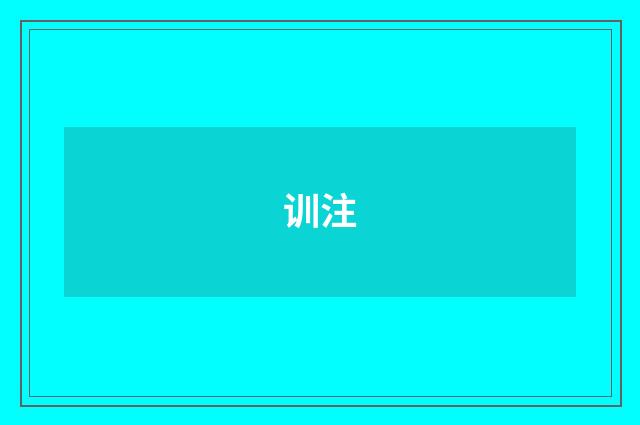 训注