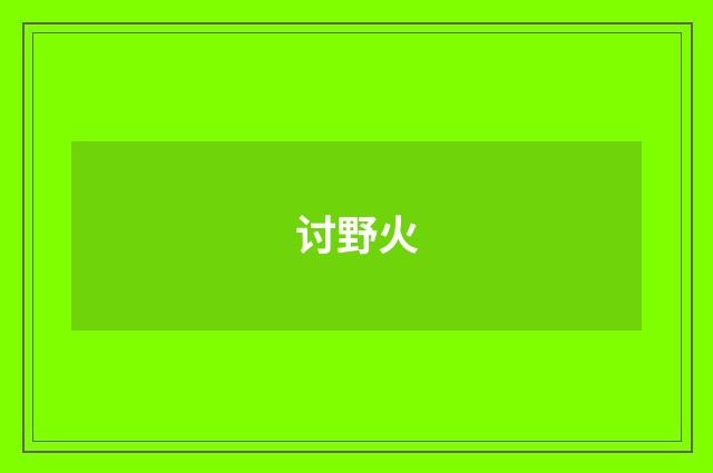 讨野火