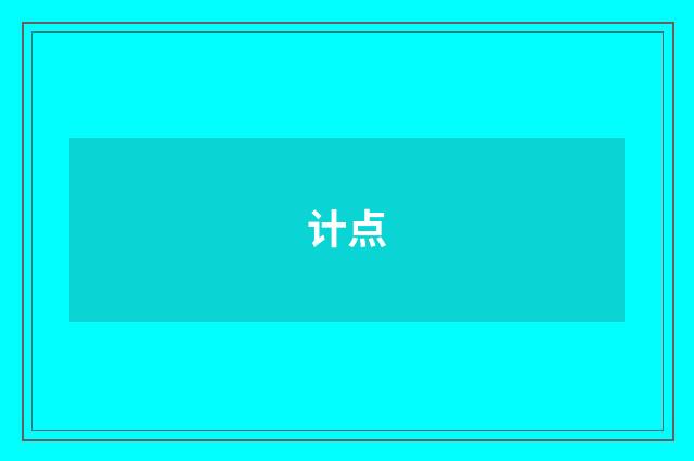 计点