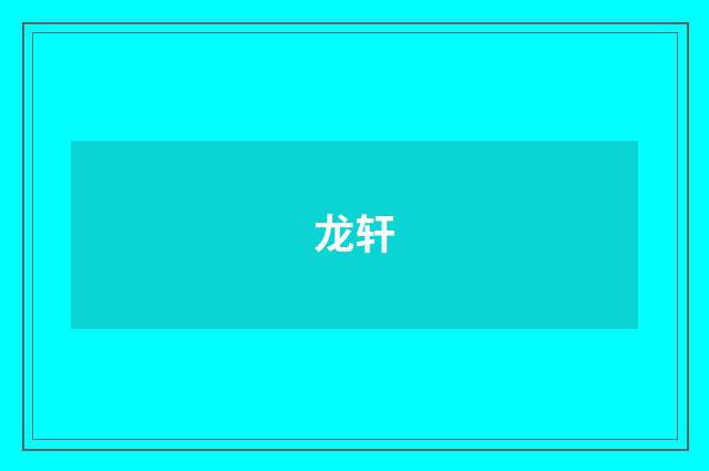 龙轩