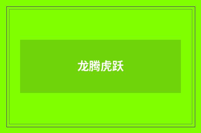 龙腾虎跃