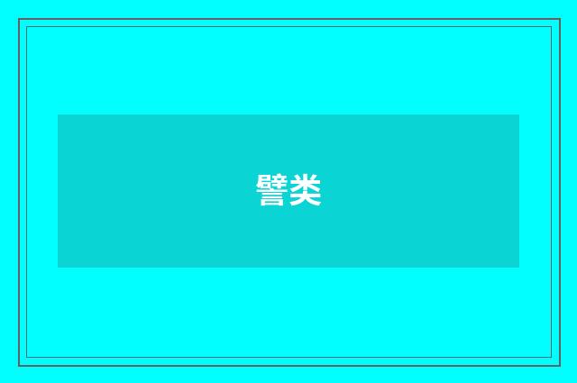 譬类