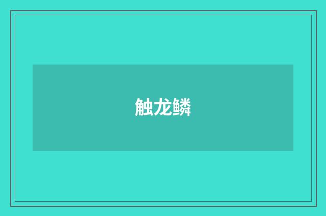 触龙鳞