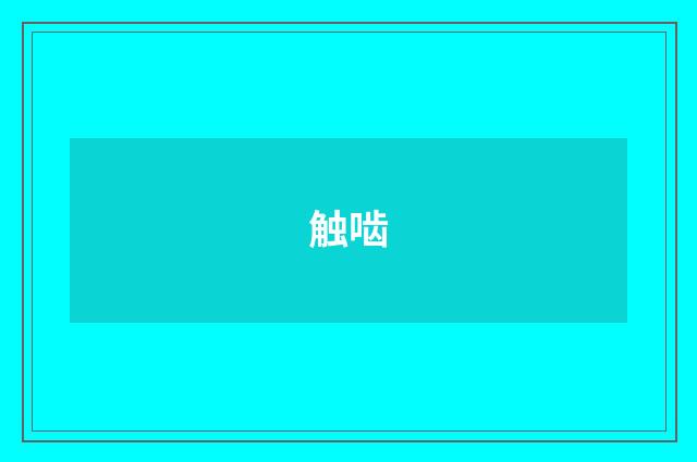 触啮