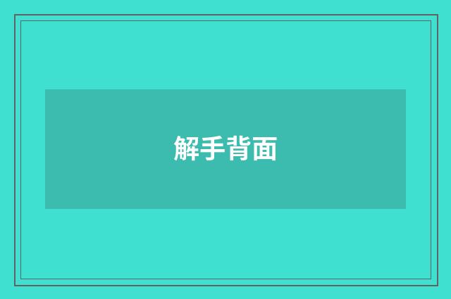 解手背面