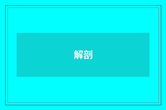 解剖