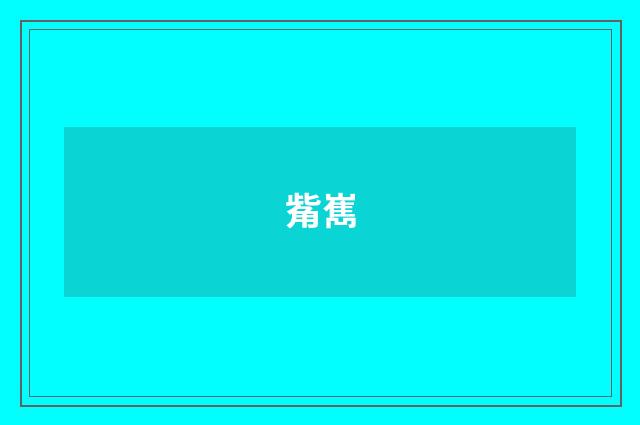 觜嶲