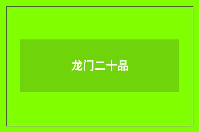 龙门二十品