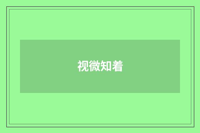 视微知着