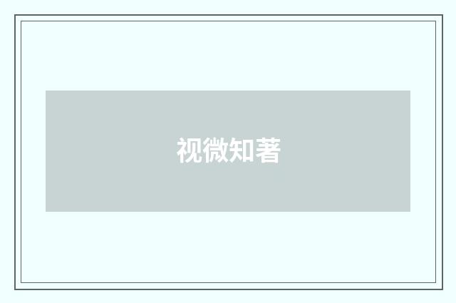视微知著
