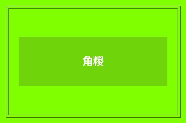 角糉