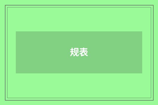 规表