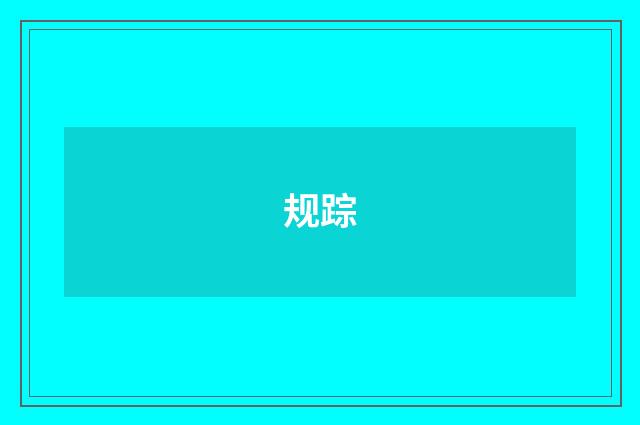 规踪