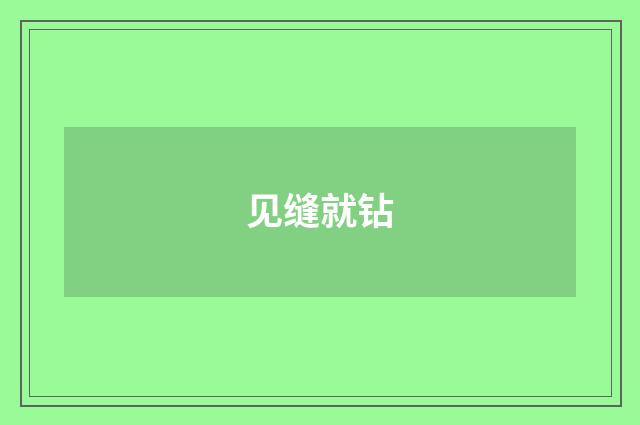 见缝就钻
