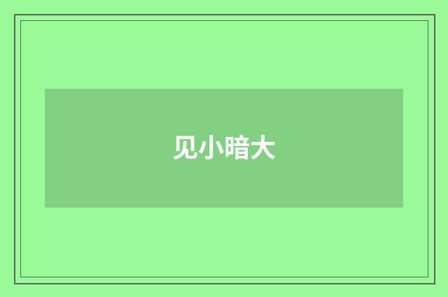 见小暗大