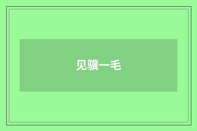 见骥一毛