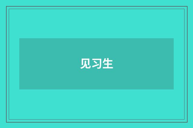见习生