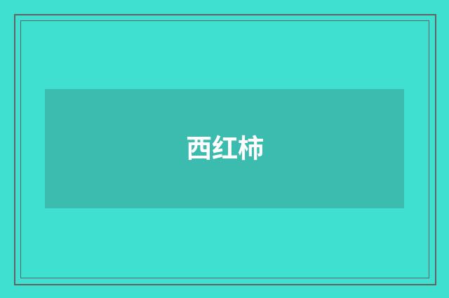 西红柿