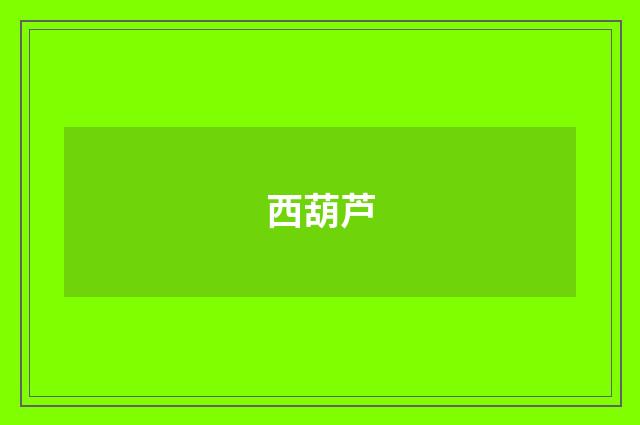 西葫芦