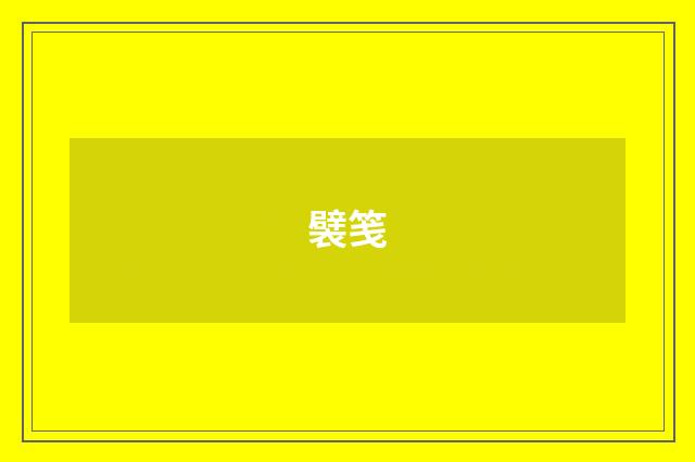 襞笺