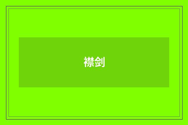 襟剑