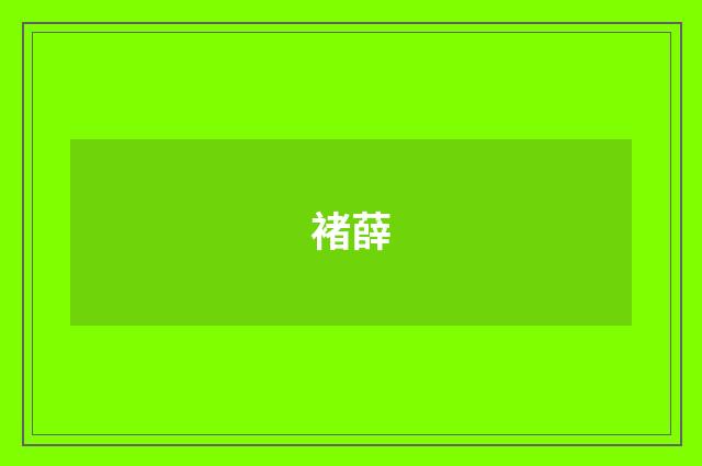 褚薛