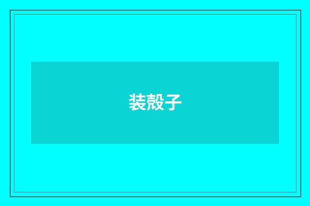 装殻子