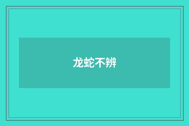 龙蛇不辨
