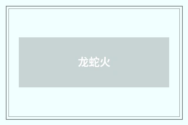 龙蛇火