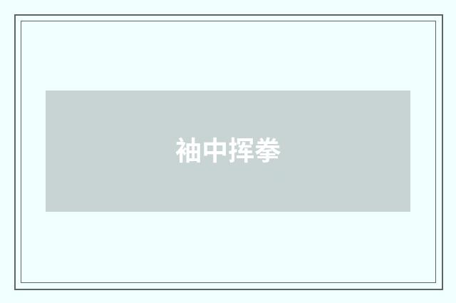 袖中挥拳