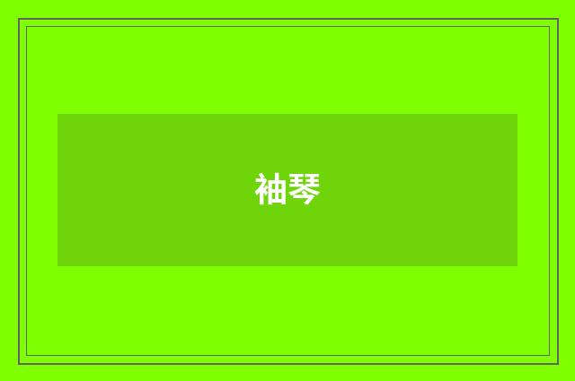 袖琴
