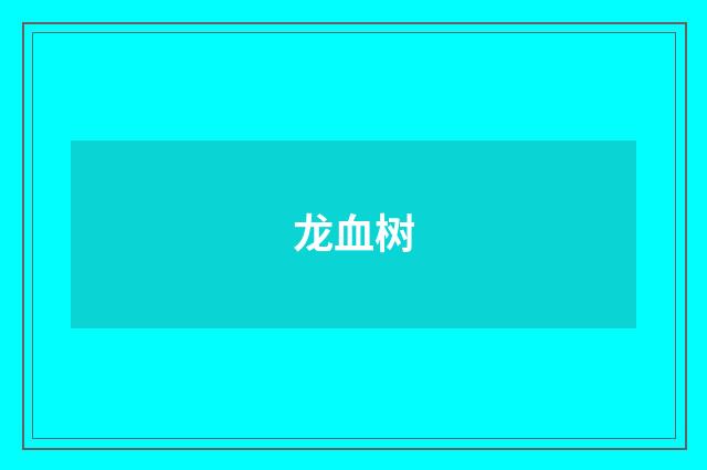 龙血树