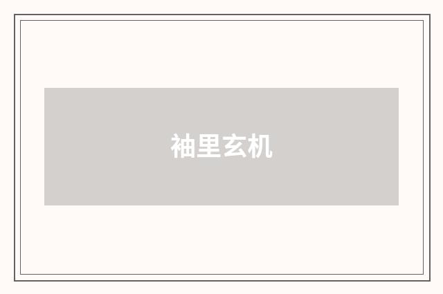 袖里玄机