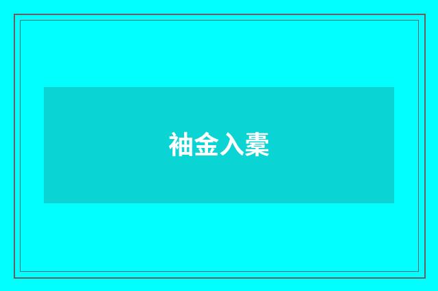 袖金入橐