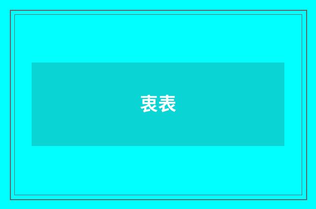 衷表
