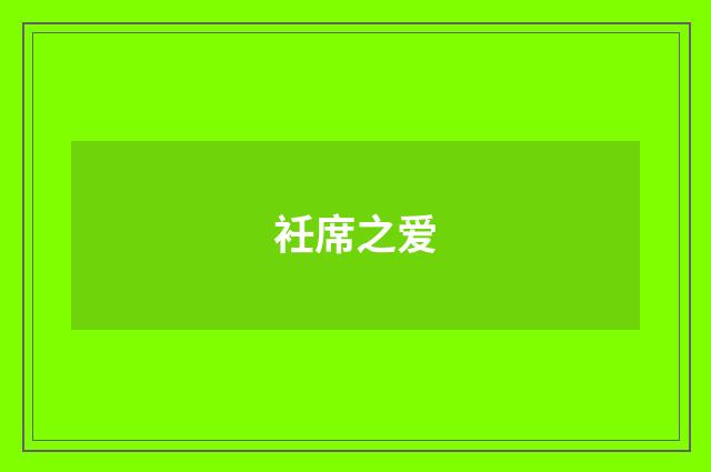 衽席之爱