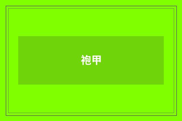袍甲